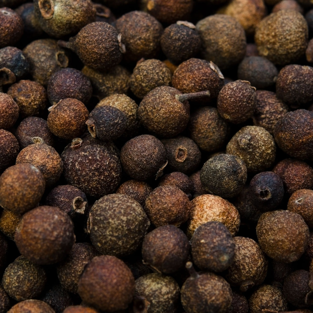 Pure Allspice (leaf or berry) Essential Oil NATURALLY AUSTRALIAN PRODUCTS