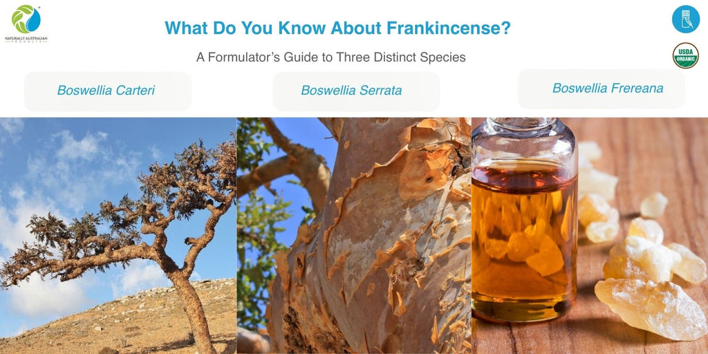 Frankincense Essential Oils