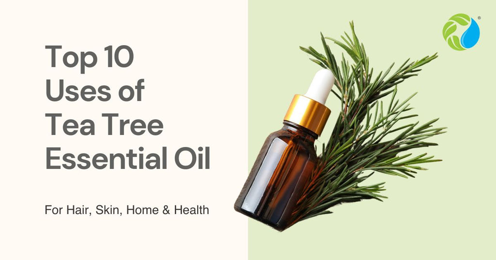 Top 10 Uses of Tea Tree Essential Oil for Hair, Skin, Home & Health