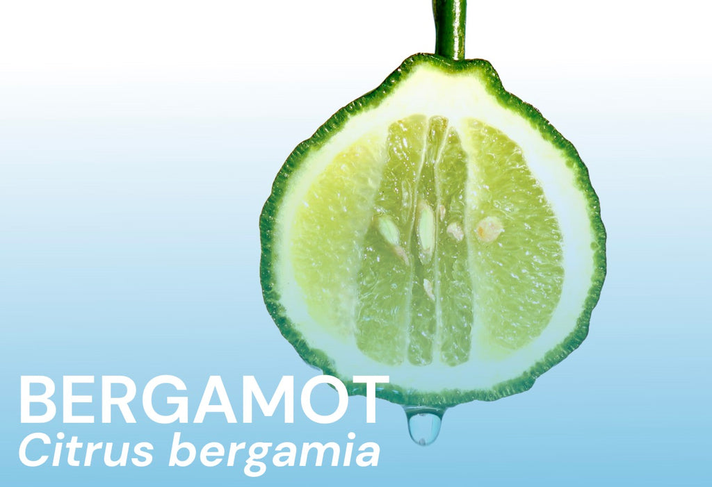 The Benefits of Bergamot