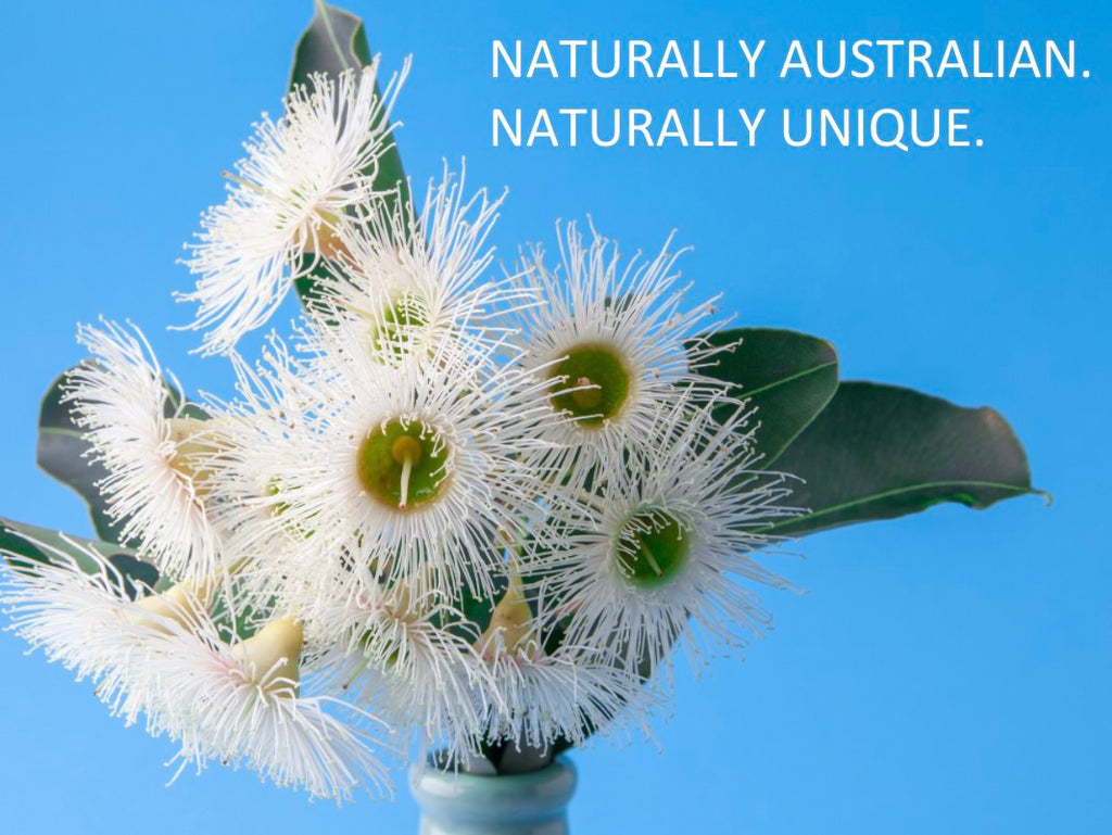 The Essence of Eucalyptus