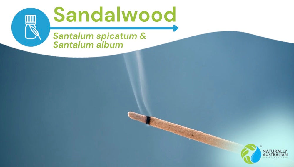 Two Sandalwoods | One Sustainable Source