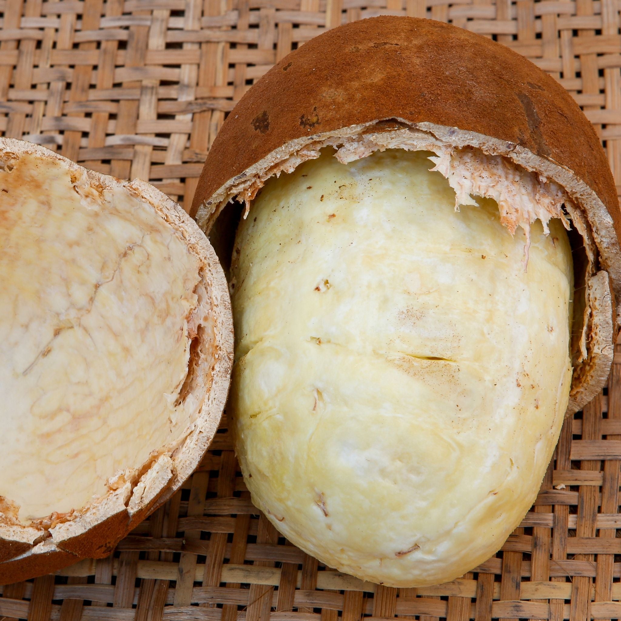 Cupuacu Butter Cupuacu Butter